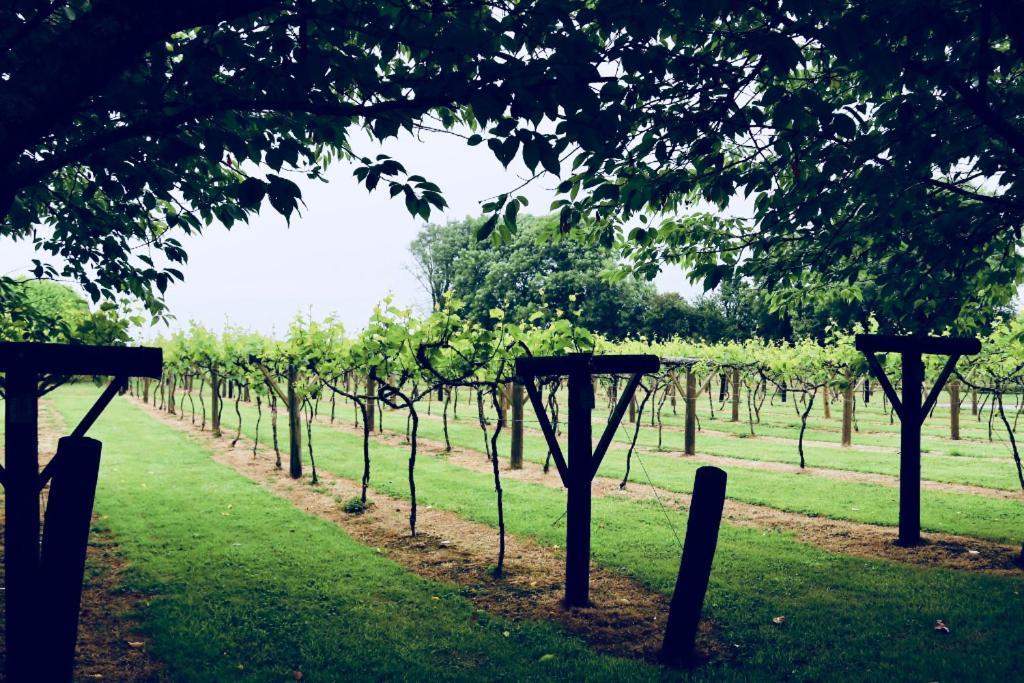 Jabajak Vineyard Restaurant & 5* Whitland