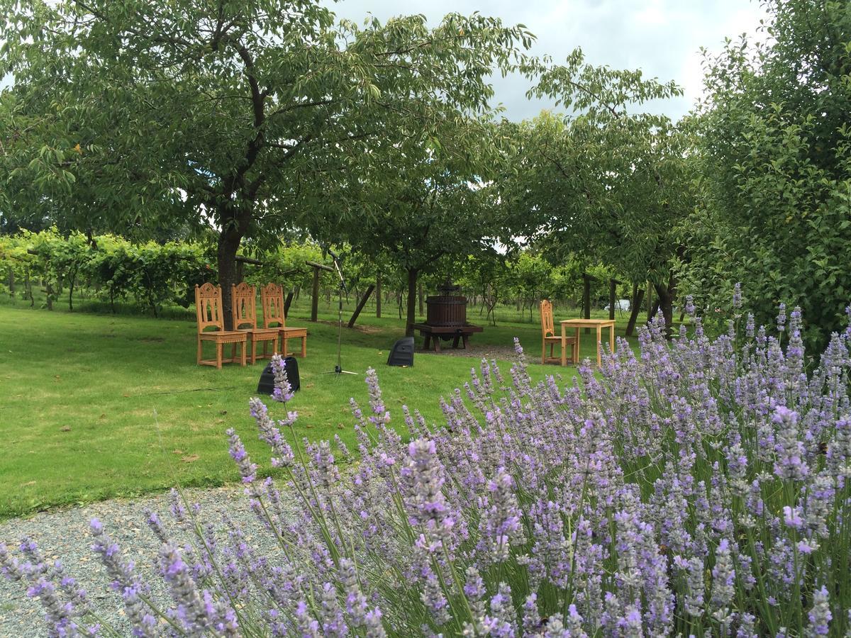 Jabajak Vineyard Restaurant & 5* Whitland