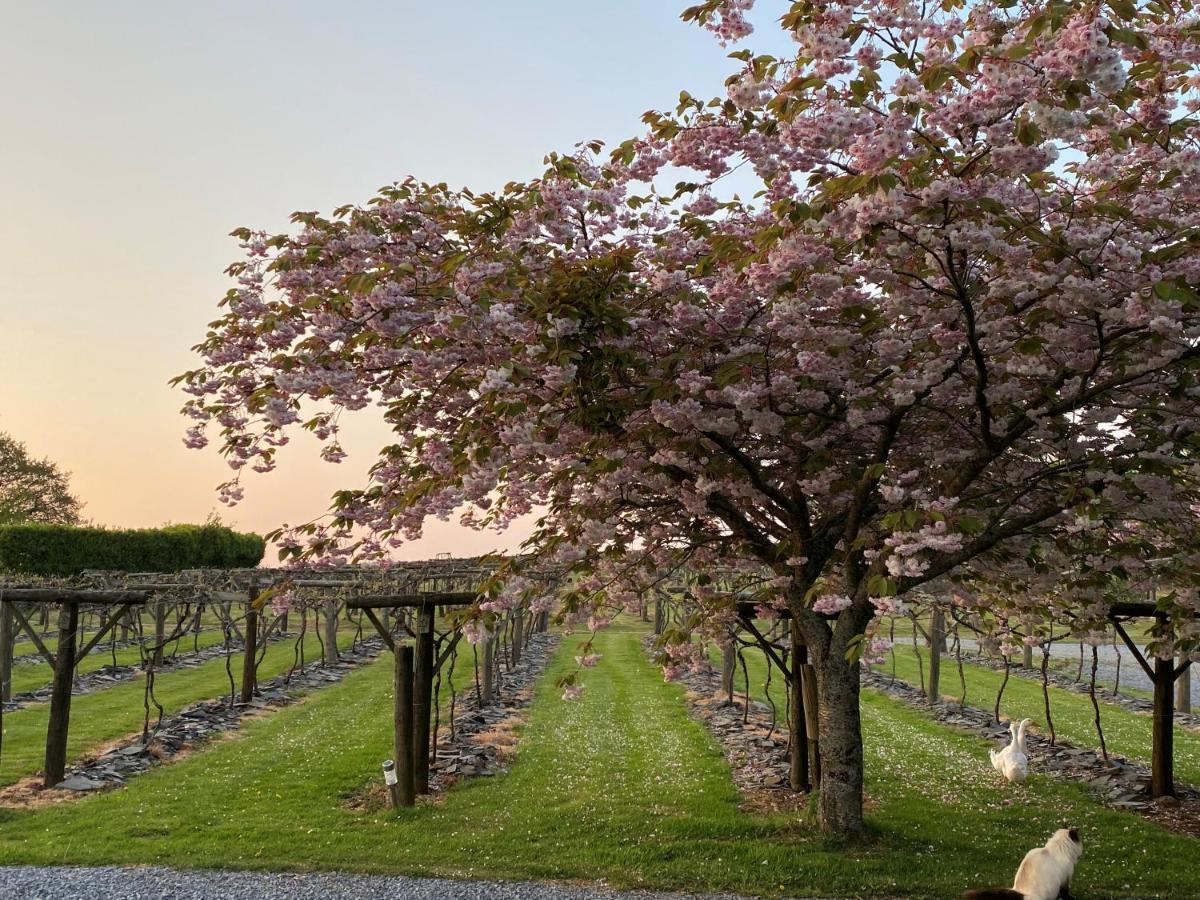 Hotel Jabajak Vineyard Restaurant & 5*