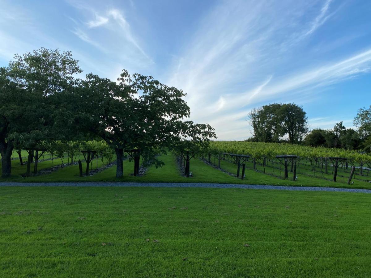 Jabajak Vineyard Restaurant & 5*