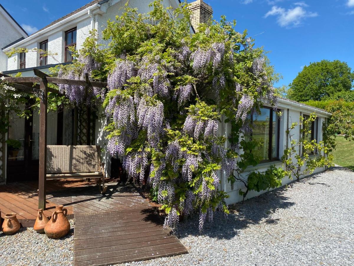 Hotel Jabajak Vineyard Restaurant & Whitland